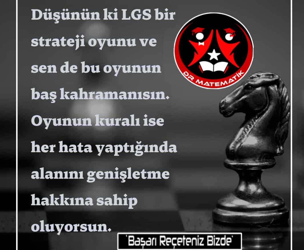 lgs ek (9).jpg